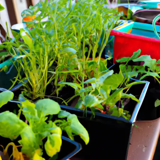 Discover the Joy of Growing Your Own Vegetable Garden Plants