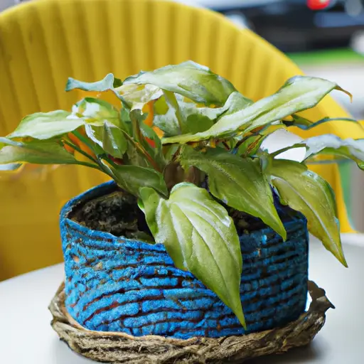 Transform Your Urban Space with Indoor Gardening: A Comprehensive Guide