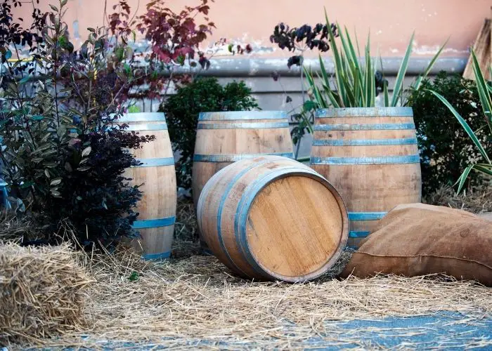 Can you plant vegetables in a wine barrel