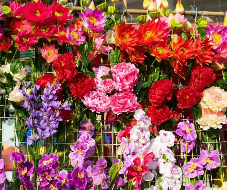How Do You Dig Up And Store Peonies? Gardening Slash