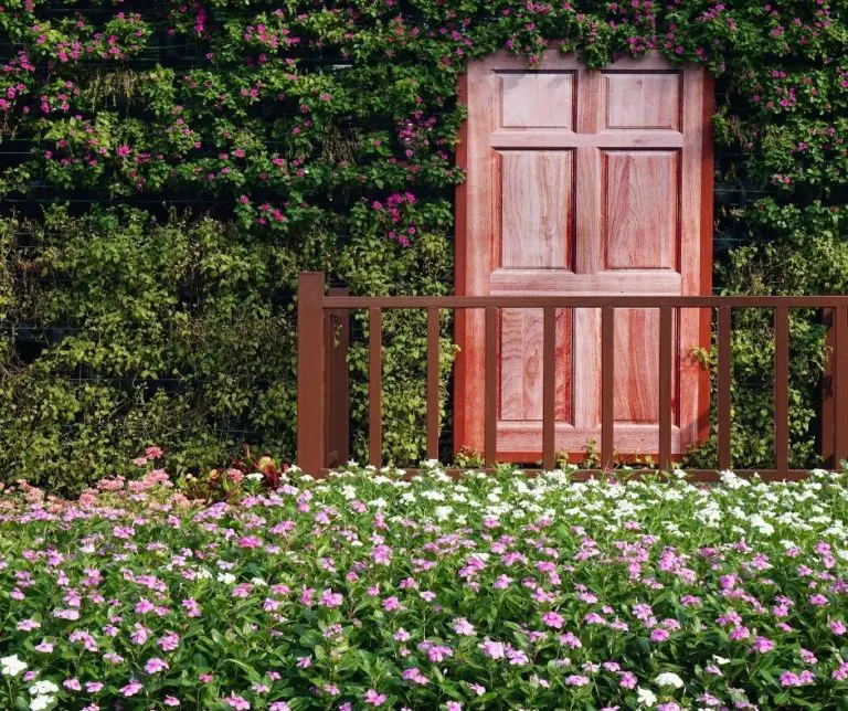 How To Make A Terrace Garden? Gardening Slash