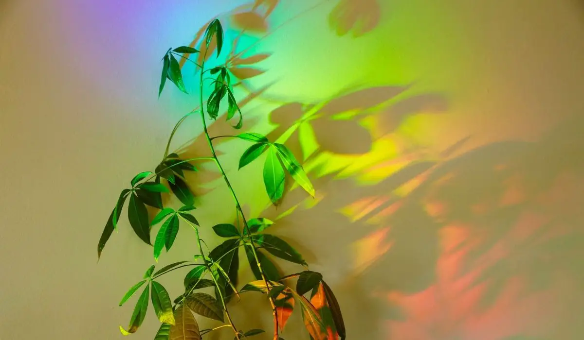 The Best Grow Light Strips For Indoor Plants