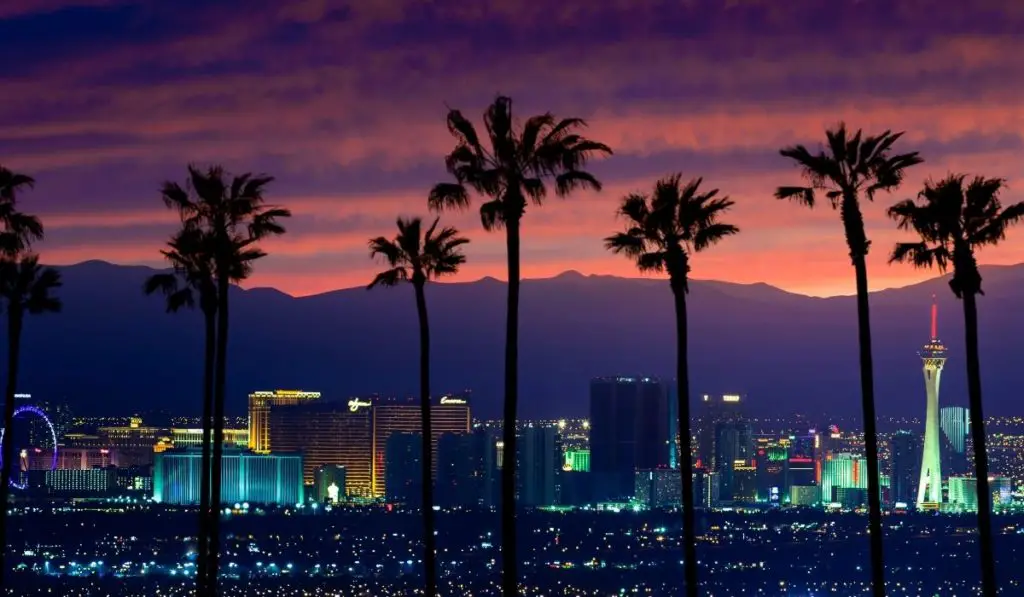 The Best House Plants For Las Vegas Gardening Slash