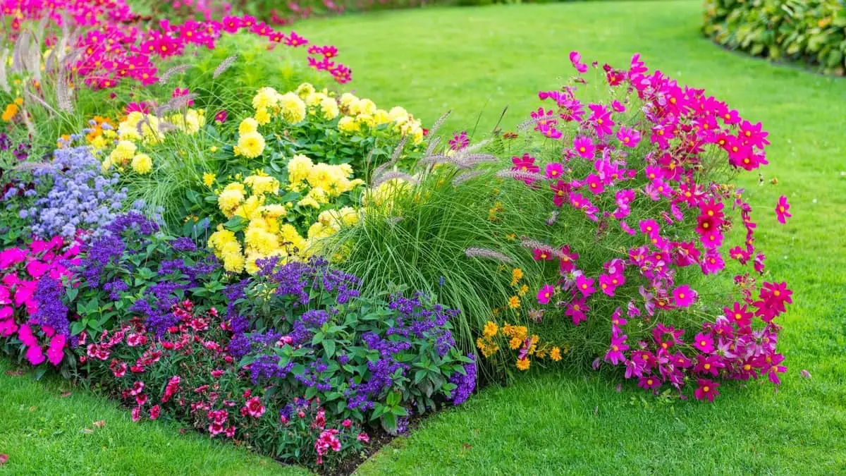 Top 14 Best Ground Cover Plants For Pennsylvania