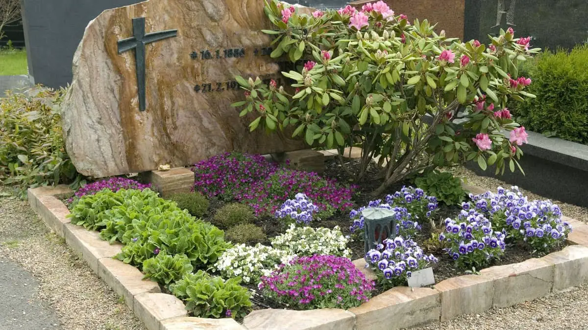 17 Best Potted Plants For Graves