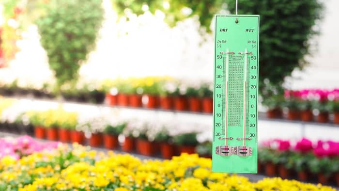 How Can I Find The Right Temperature For My Plants