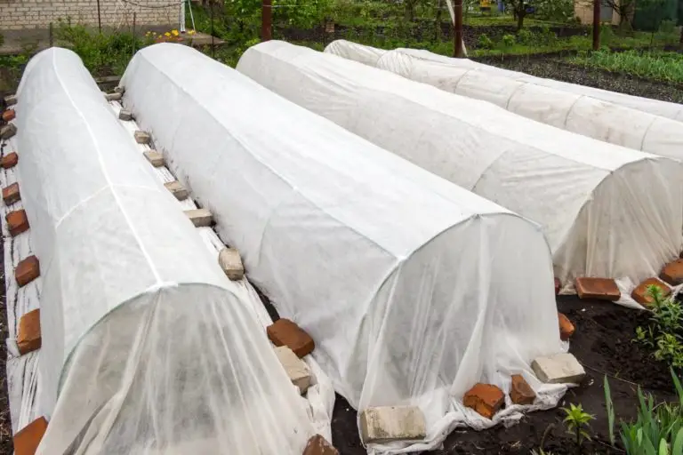 The Best Frost Cloth For Plants 5 Ranked! Gardening Slash