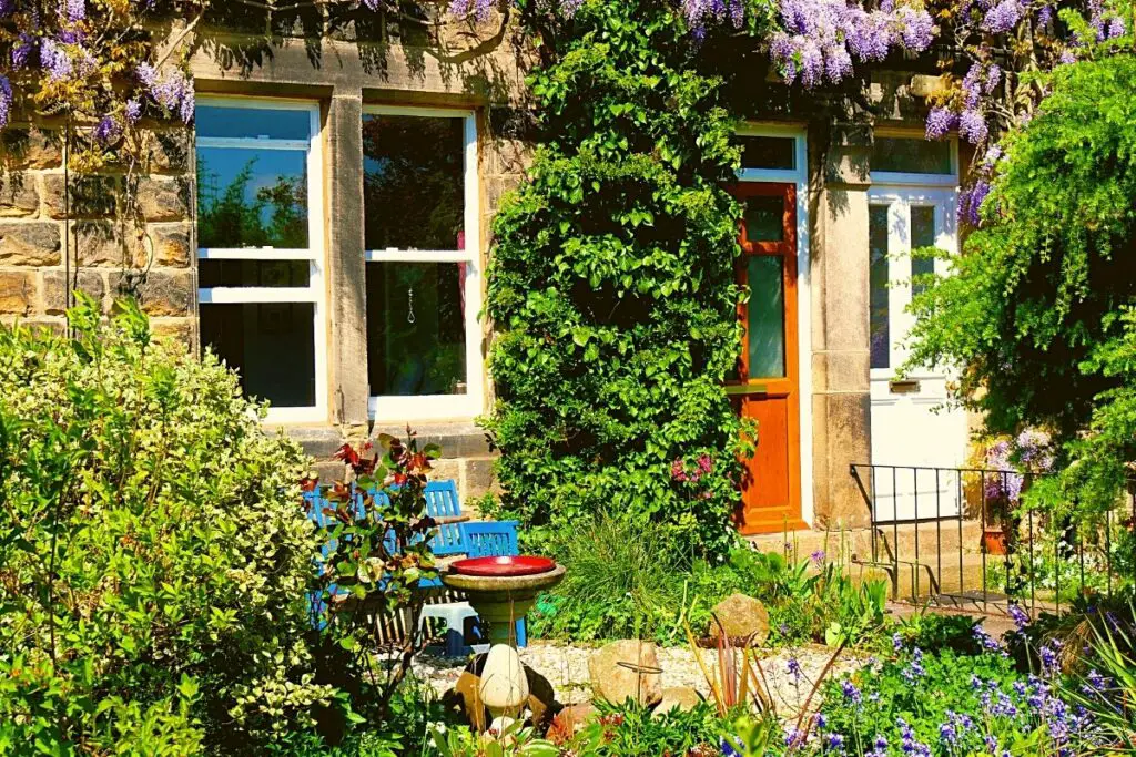 The 5 Best Plants For Noise Reduction Gardening Slash