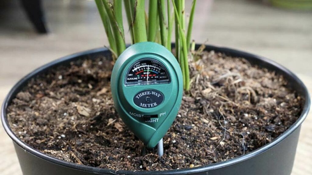 The Best Hygrometer For Plants A Guide To Keeping MoistureLoving Plants Happy Gardening Slash