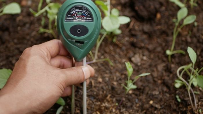  humidity gauge for plants